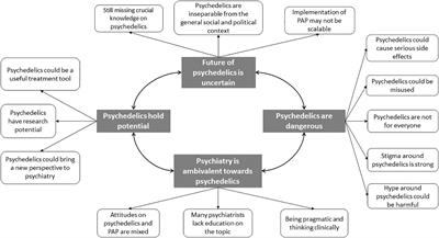 Attitudes of European psychiatrists on psychedelics: a qualitative study